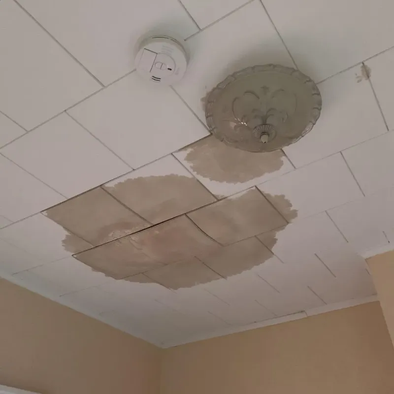 Ceiling Water Damage Repair in Old Saybrook, CT