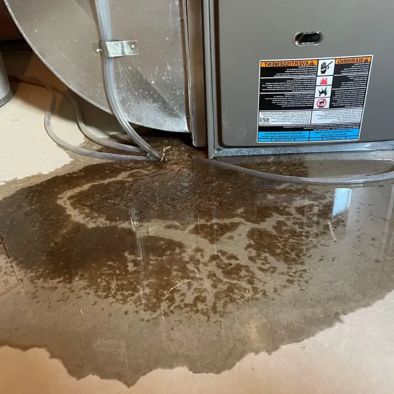 Pipe Burst and Leak Restoration in Old Saybrook, CT